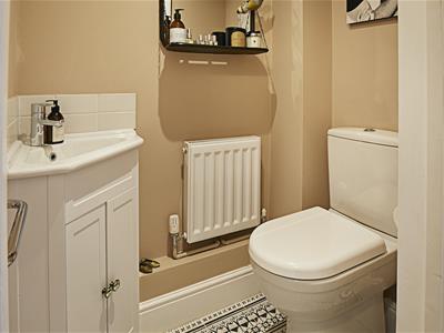 Picture 7